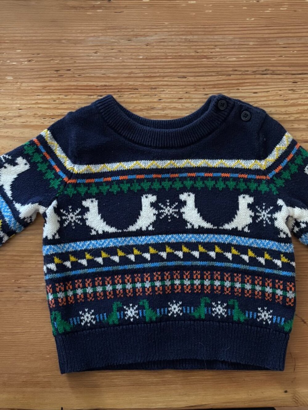 Baby Dinosaur sweater